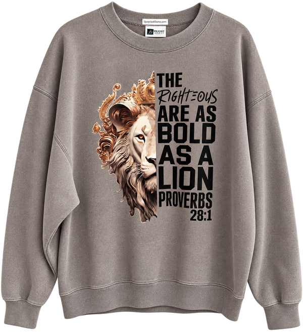 The Righteous Are As Bold As A Lion Proverbs 28: 1 Custom Christian Upcycled Sweatshirt, XL